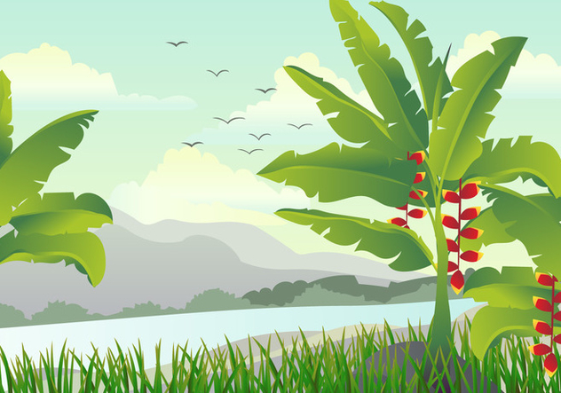 632x443 Scene With Banana Tree Illustration Free Vector Download