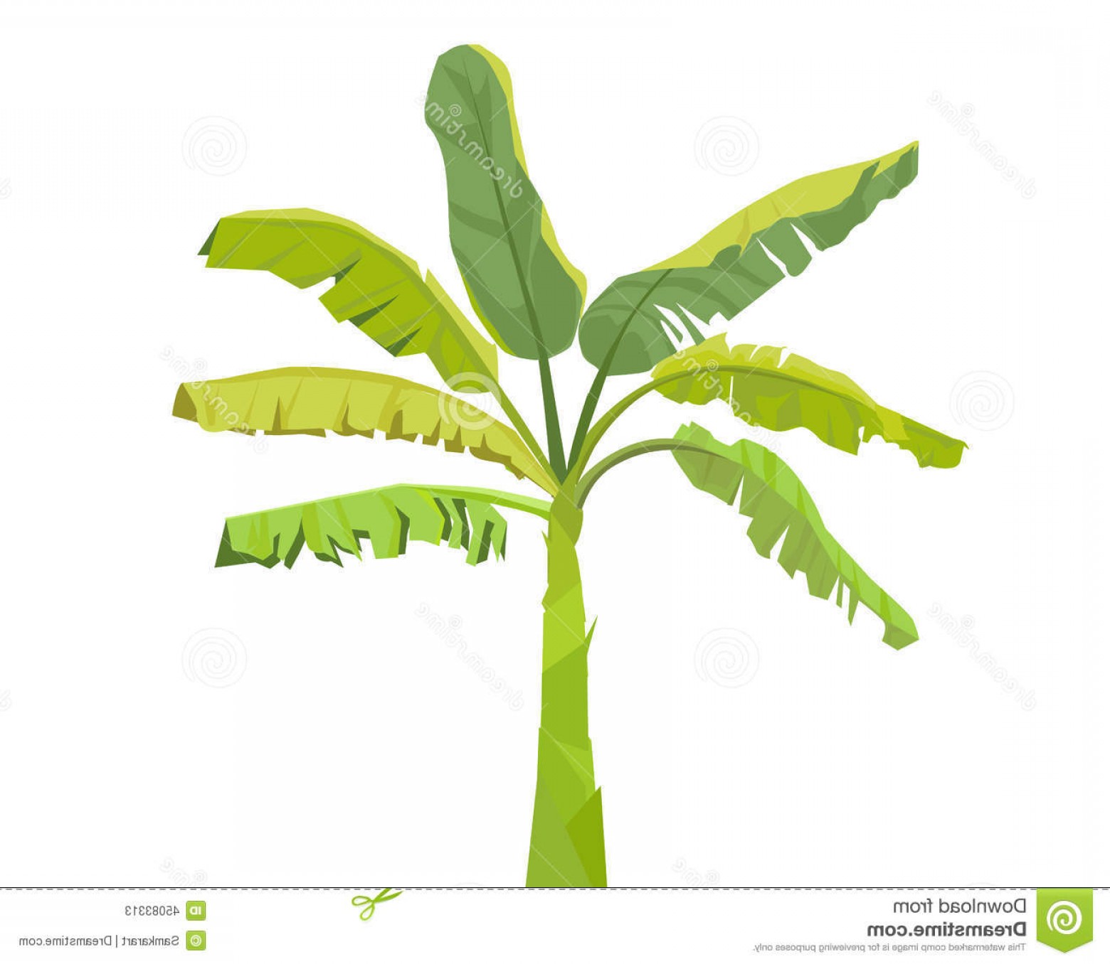 Stock Illustration Banana Tree Vector Illustration Image Soidergi 1560x1356 Stock Illustration Banana Tree Vector Illustration Image Soidergi