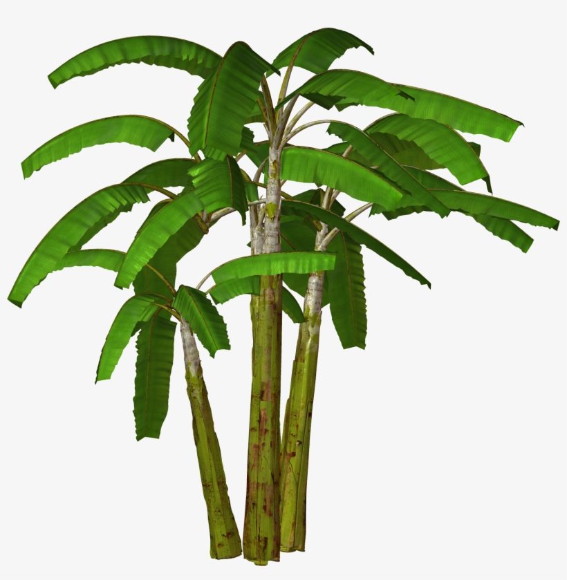 Tree Clip Art 820x839 Tree Clip Art