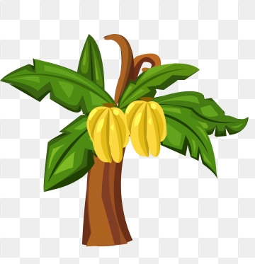 Banana Tree Png Images Vector And Free Download 360x373 Banana Tree Png Images Vector And Free Download