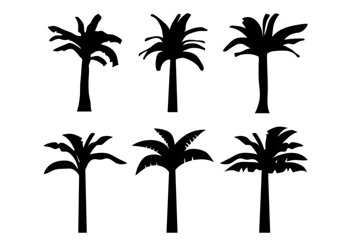 Banana Tree Vector Free Vectors Ui Download 700x490 Banana Tree Vector Free Vectors Ui Download