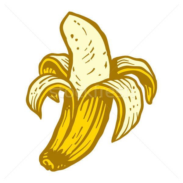 600x600 Banana Vector Illustration Brian Goff