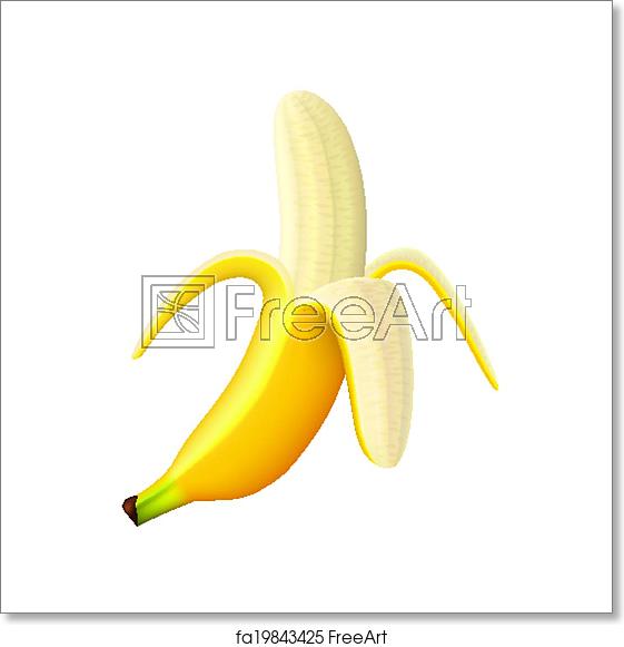 561x581 Free Art Print Of Ripe Banana Vector Illustration Ripe Banana