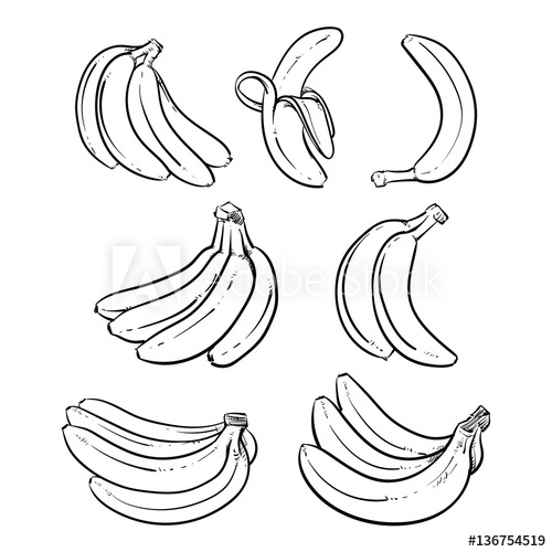500x500 Yellow Bananas Vector Illustration On White Background