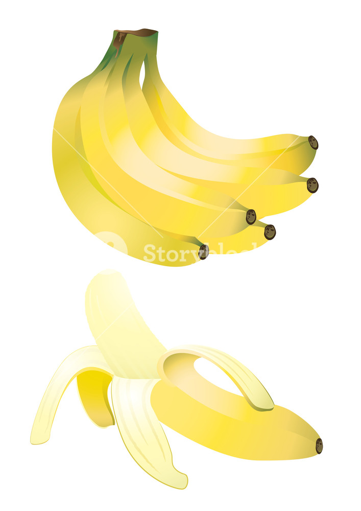707x1000 Bananas Vector Illustration Royalty Free Stock Image