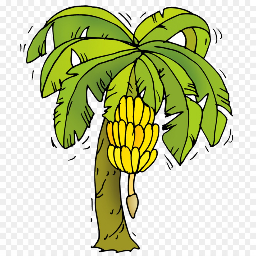 1080x1080 Png Clip Art Banana Vector Graphics Image Portable Net Geekchicpro