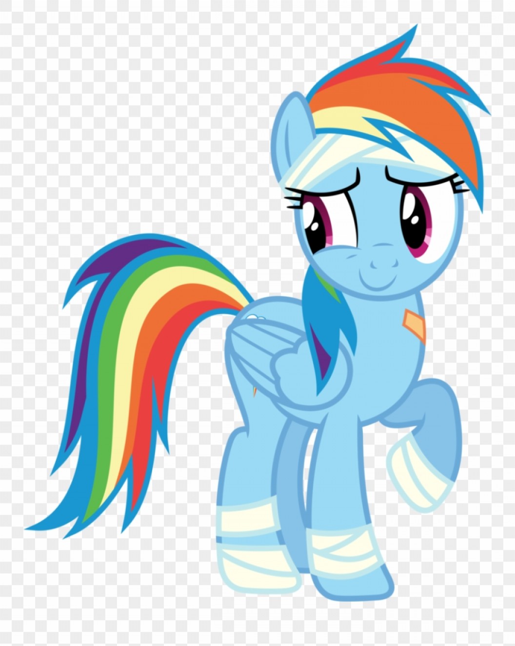1056x1324 Jowwmtransparent Bandage Vector Rainbow Dash As A Cat Handandbeak
