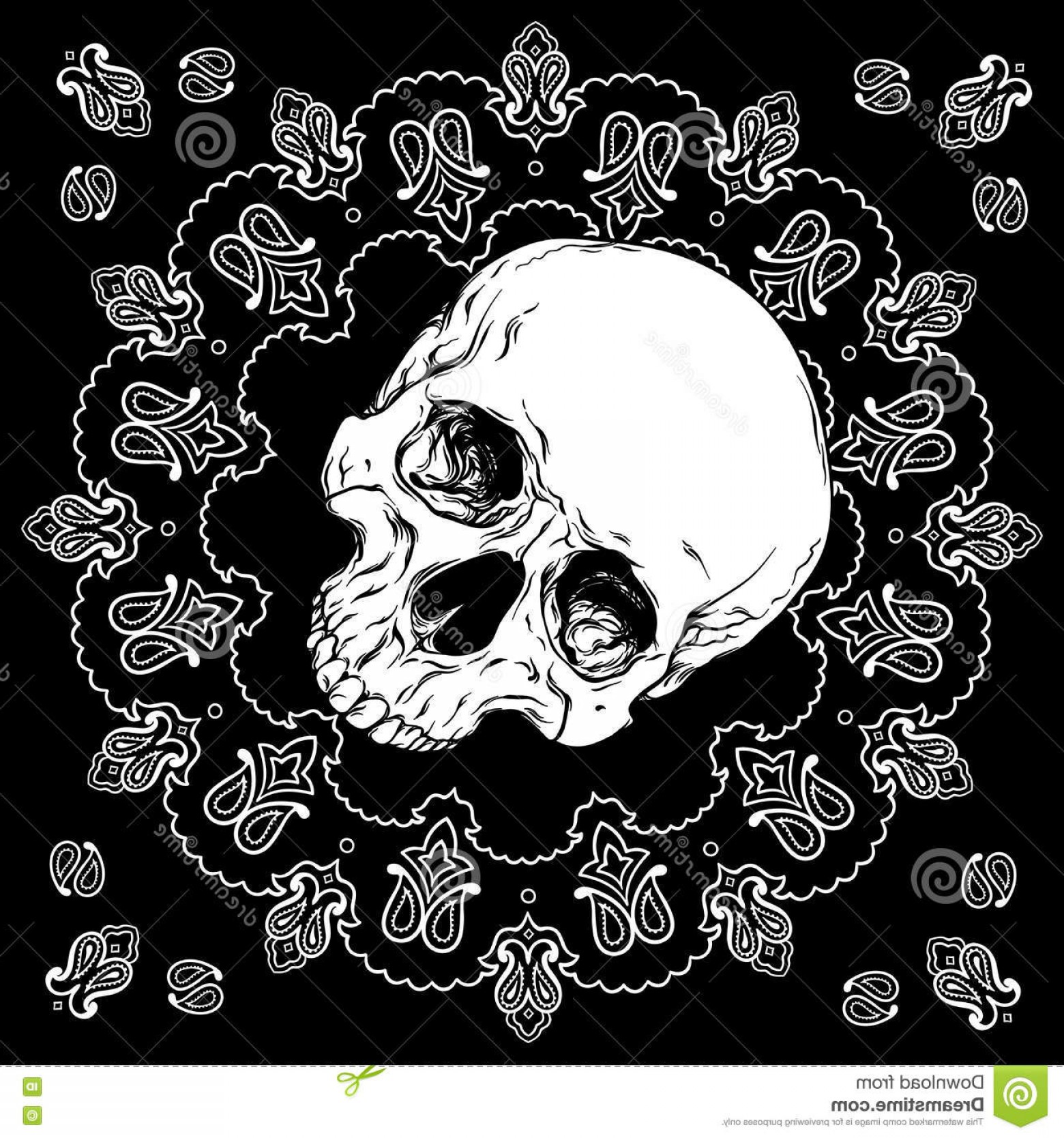 Profile Skull With Bandana Vector Catamart 1560x1668 Profile Skull With Bandana Vector Catamart