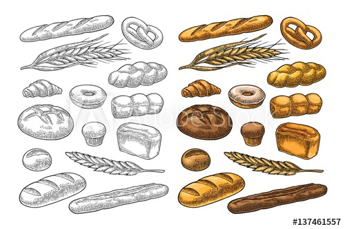 500x333 Set Bread Vector Color Vintage Engraving