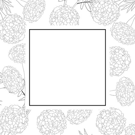 450x450 Marigold On White Banner Card Outline Vector Illustration