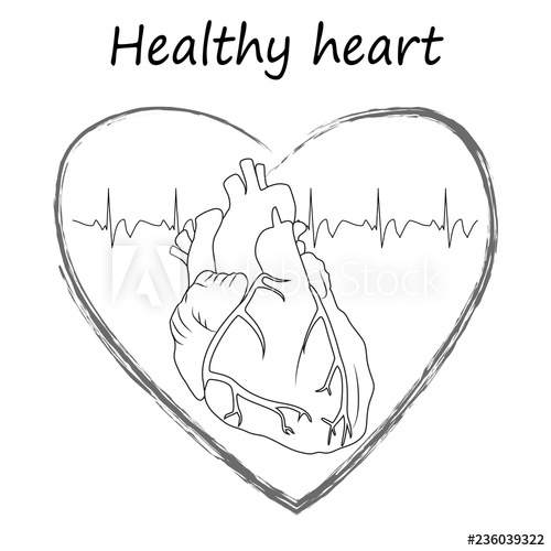 500x500 Heart Health Poster, Banner, Design Template Anatomy Heart Image