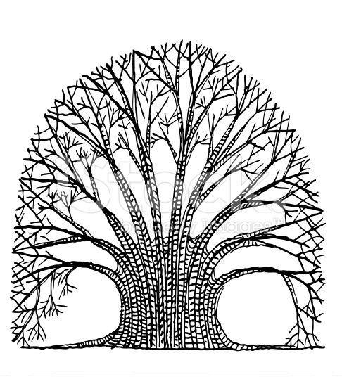 486x556 Banyan Tree Vector