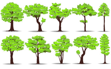 384x240 Banyan Tree Vector Photos, Royalty Free Images, Graphics, Vectors