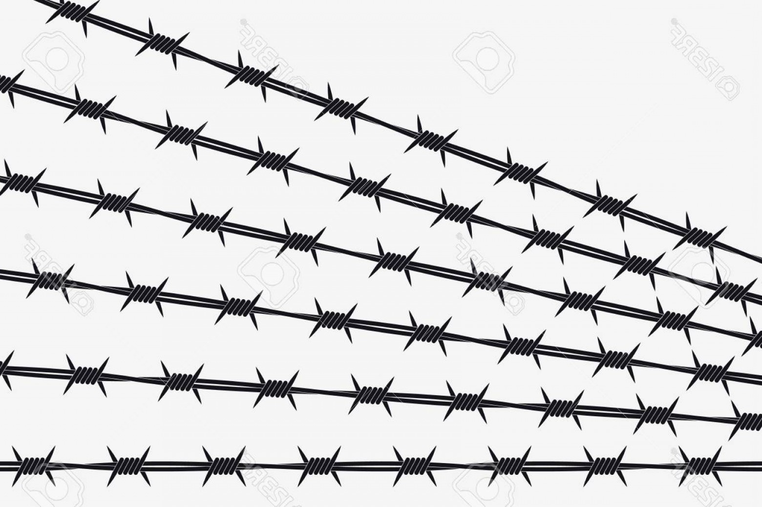 Photostock Vector Vector Silhouette Of Barbed Wire Lines Types 1560x1039 Photostock Vector Vector Silhouette Of Barbed Wire Lines Types