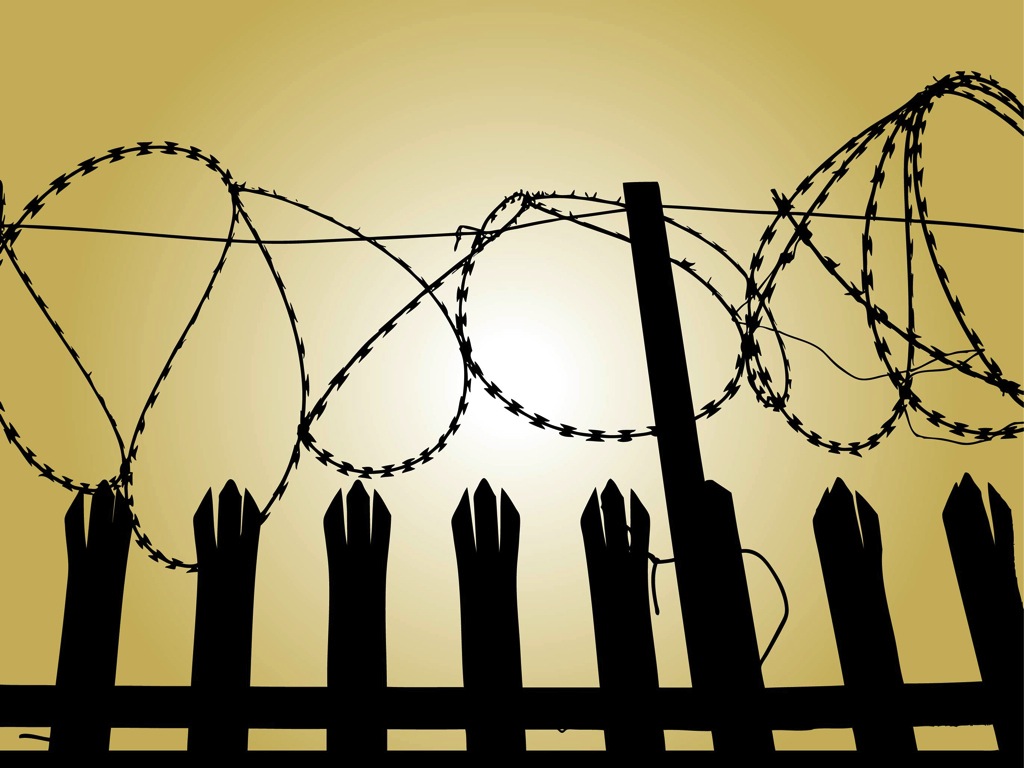 1024x768 Barbed Wire Vector Vector Art Graphics