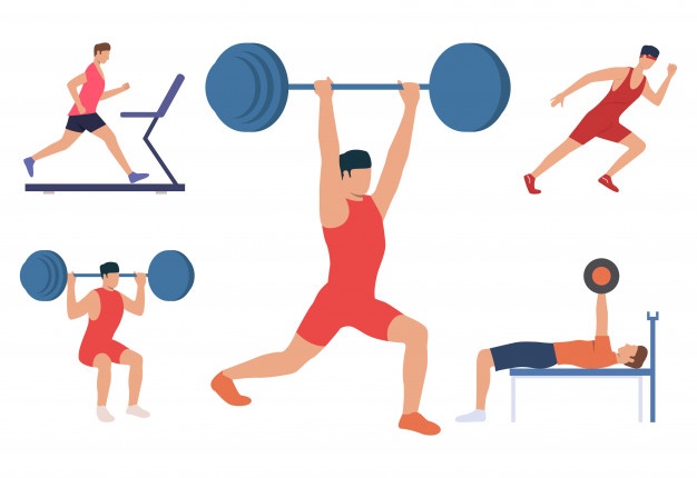 626x430 Barbell Vectors, Photos And Free Download