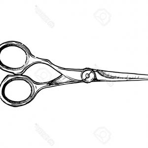 Barber Shears Vector at Vectorified.com | Collection of Barber Shears