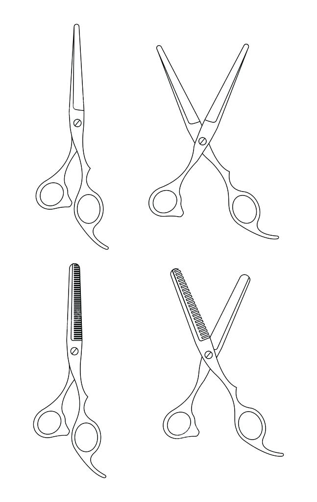 Barber Scissors Vector Shears Icon Logo On White Background Image 647x1022 Barber Scissors Vector Shears Icon Logo On White Background Image