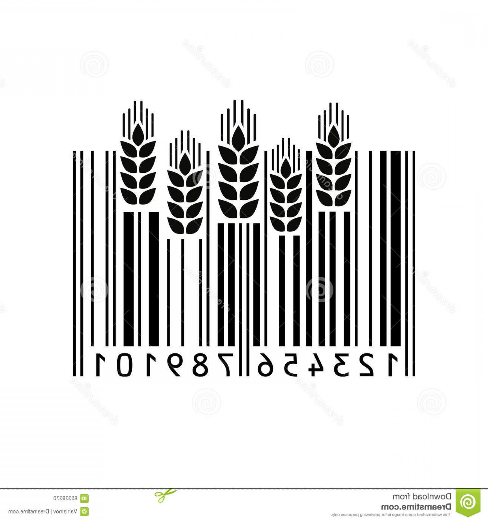 1560x1668 Stock Illustration Barcode Vector Illustration Bar Code Image