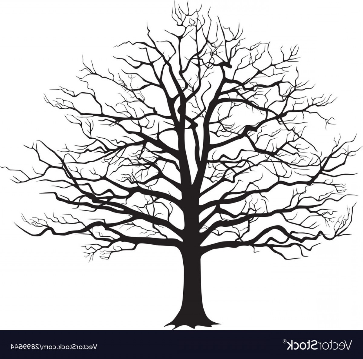 Bare Tree Silhouette Vector at Vectorified.com | Collection of Bare