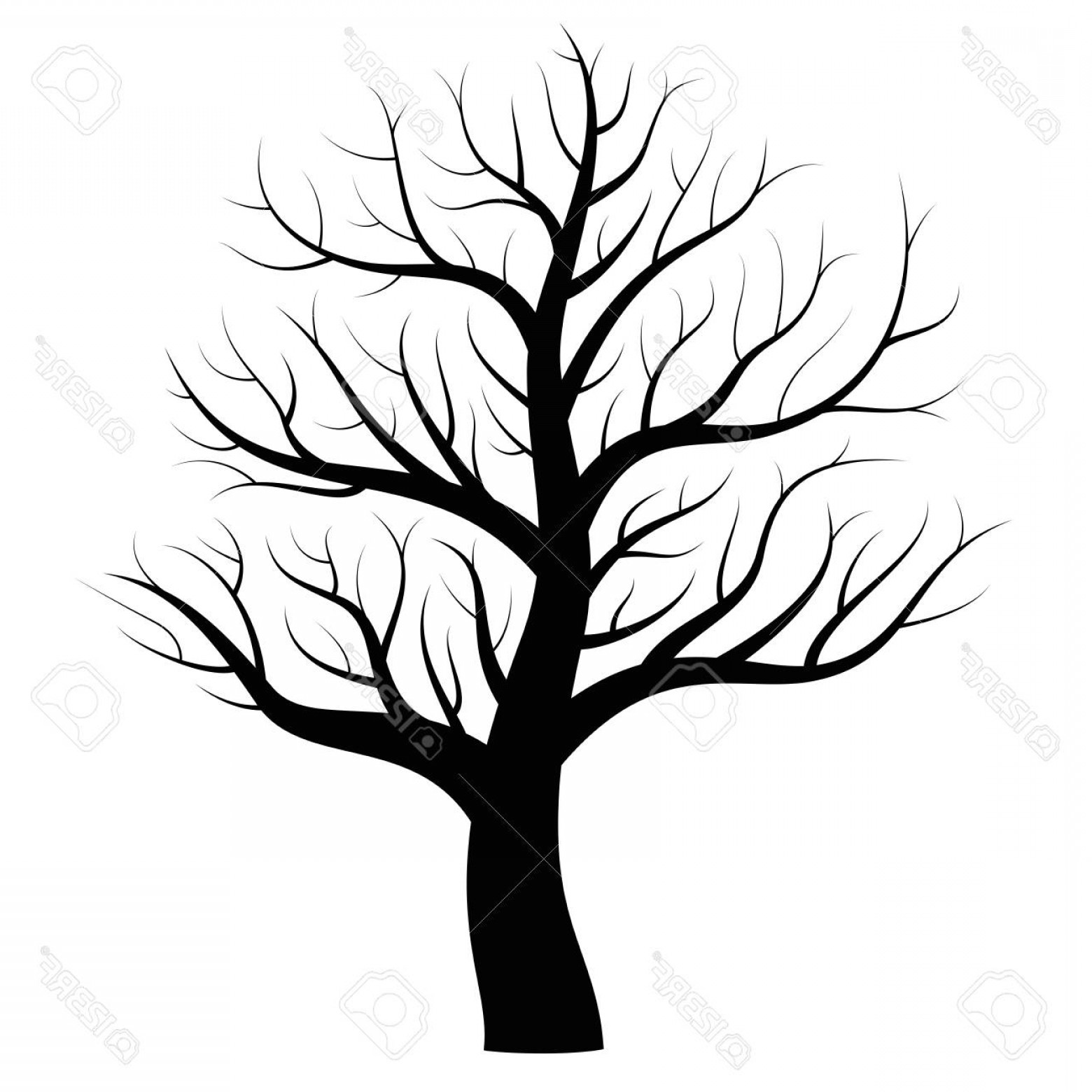 1560x1560 Photostock Vector Bare Tree In Winter With Elegantly Curved