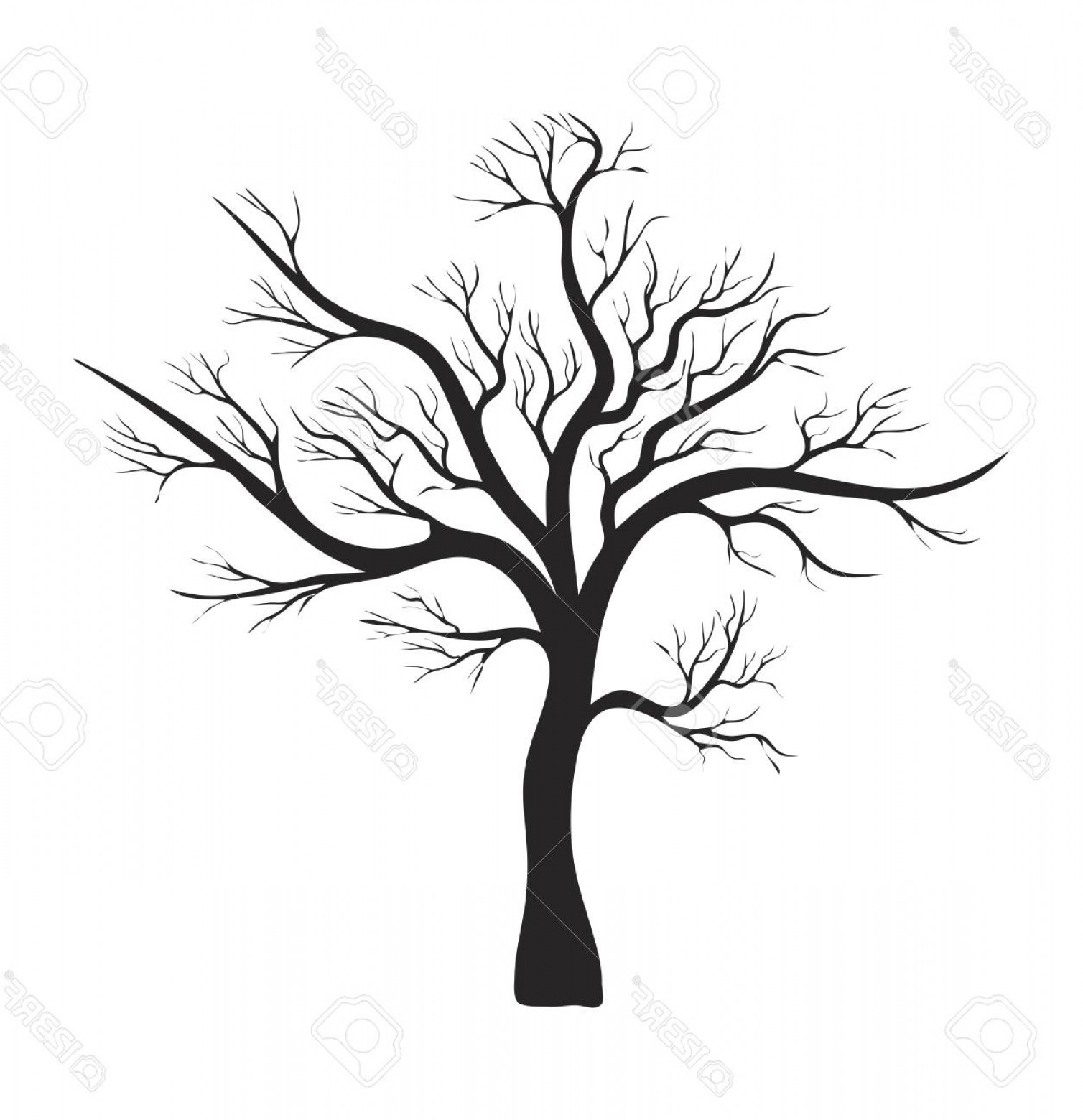 1508x1560 Photostock Vector Bare Tree Silhouette Vector Symbol Icon Design