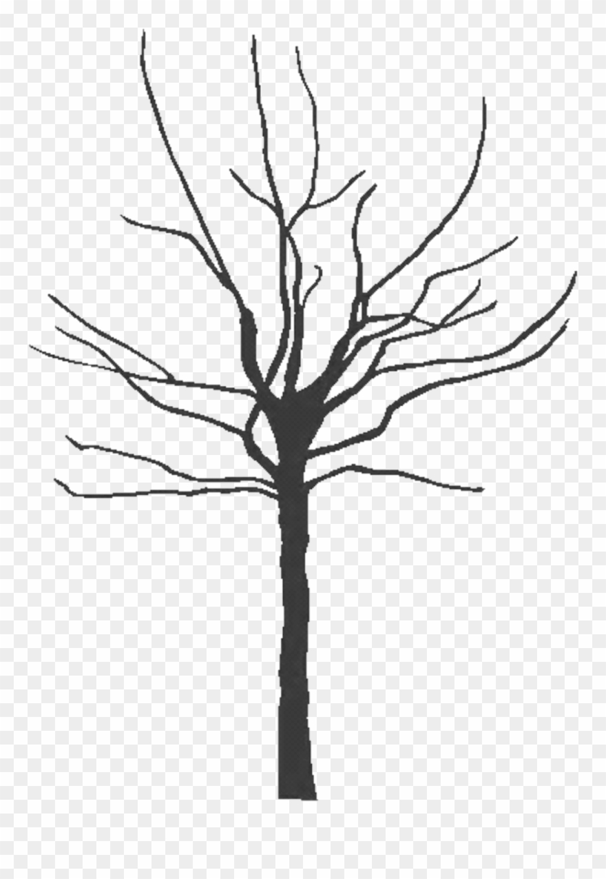 880x1275 Pictures Of Bare Trees Clipart