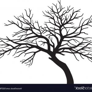 300x300 Scary Bare Black Tree Silhouette Vector Hoodamathrun