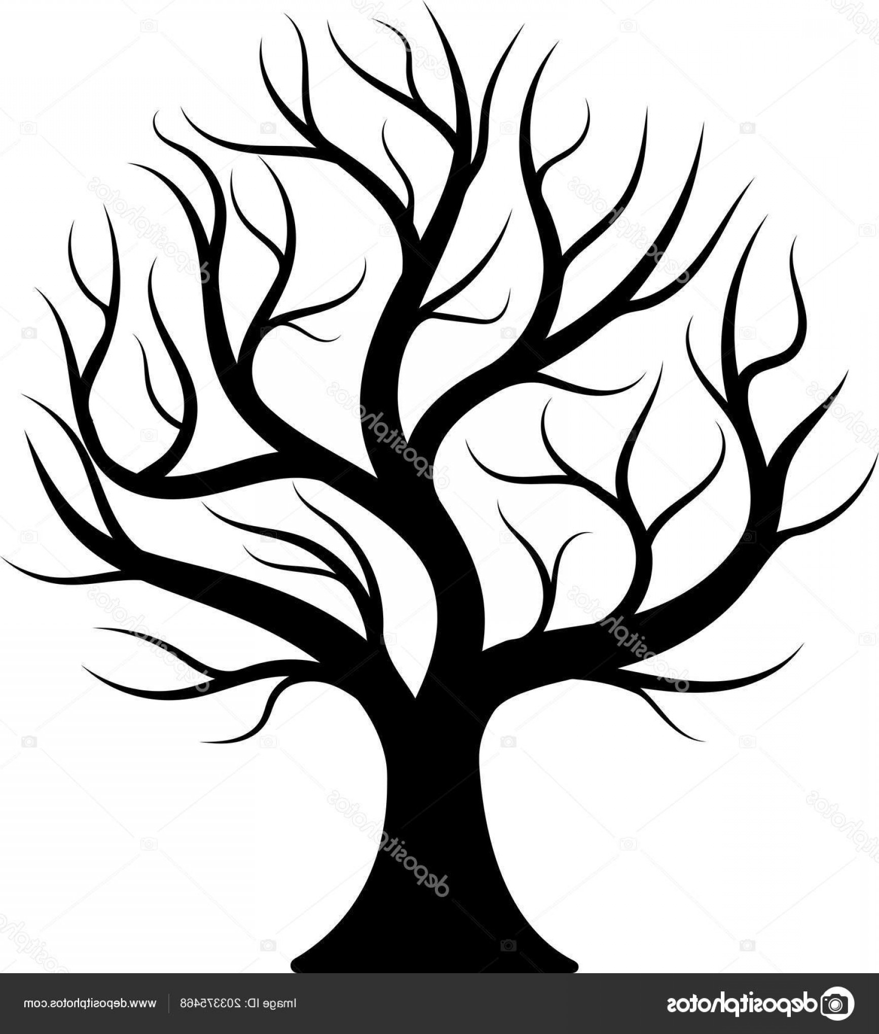 1734x2040 Stock Photo Black Silhouette Bare Tree Vector Studiogrfx
