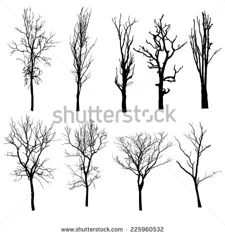 450x470 Tree Silhouette Bare