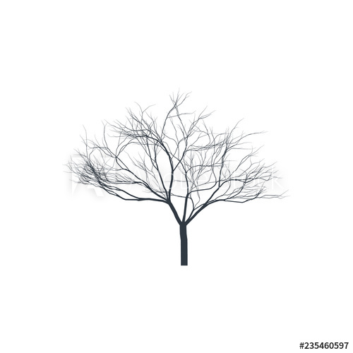 500x500 Tree Silhouette On White Background Bare Tree Vector