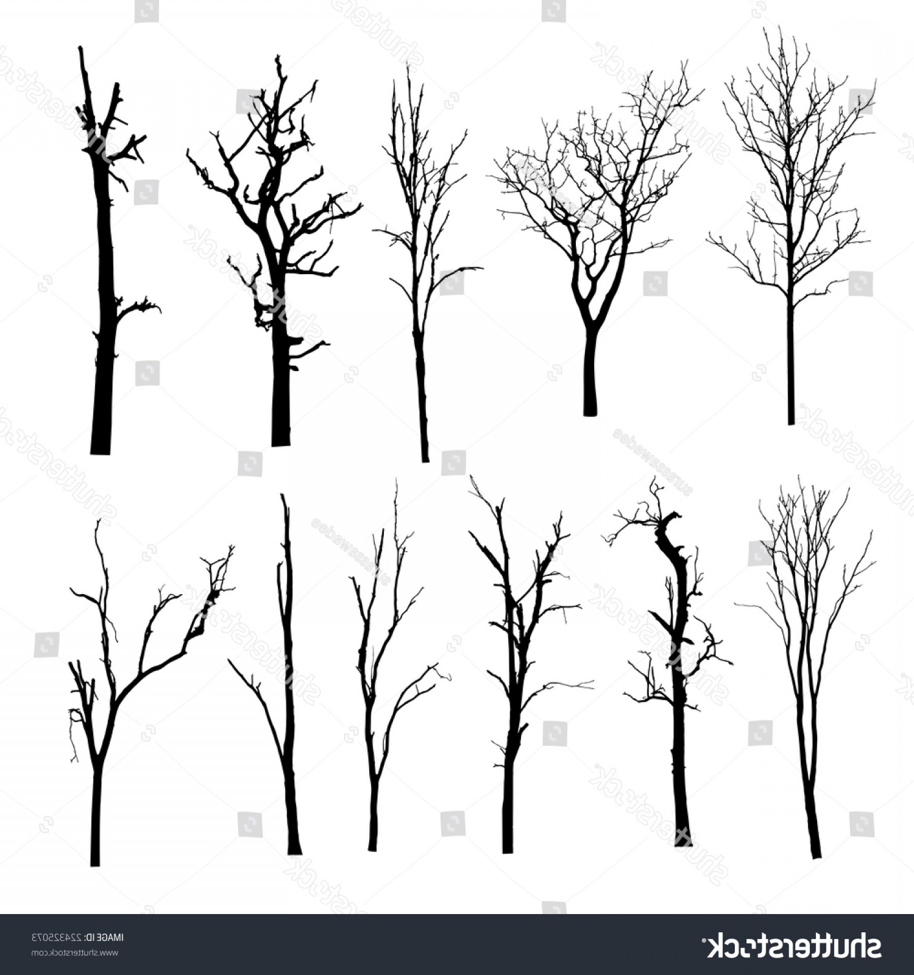 1800x1920 Vector Black Silhouette Bare Tree Soidergi