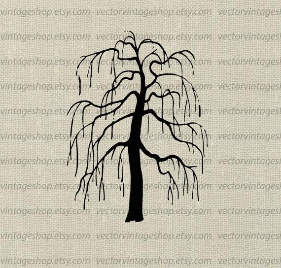 570x544 Weeping Willow Tree Vector Clipart Bare Tree Silhouette Clip Etsy