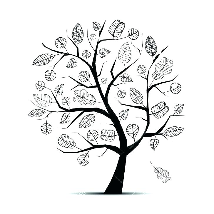 728x728 Bare Tree Outline How Bare Tree Silhouette Vector