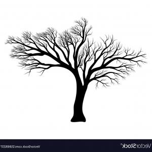 300x300 Bare Tree Silhouette Symbol Icon Design Vector Studiogrfx