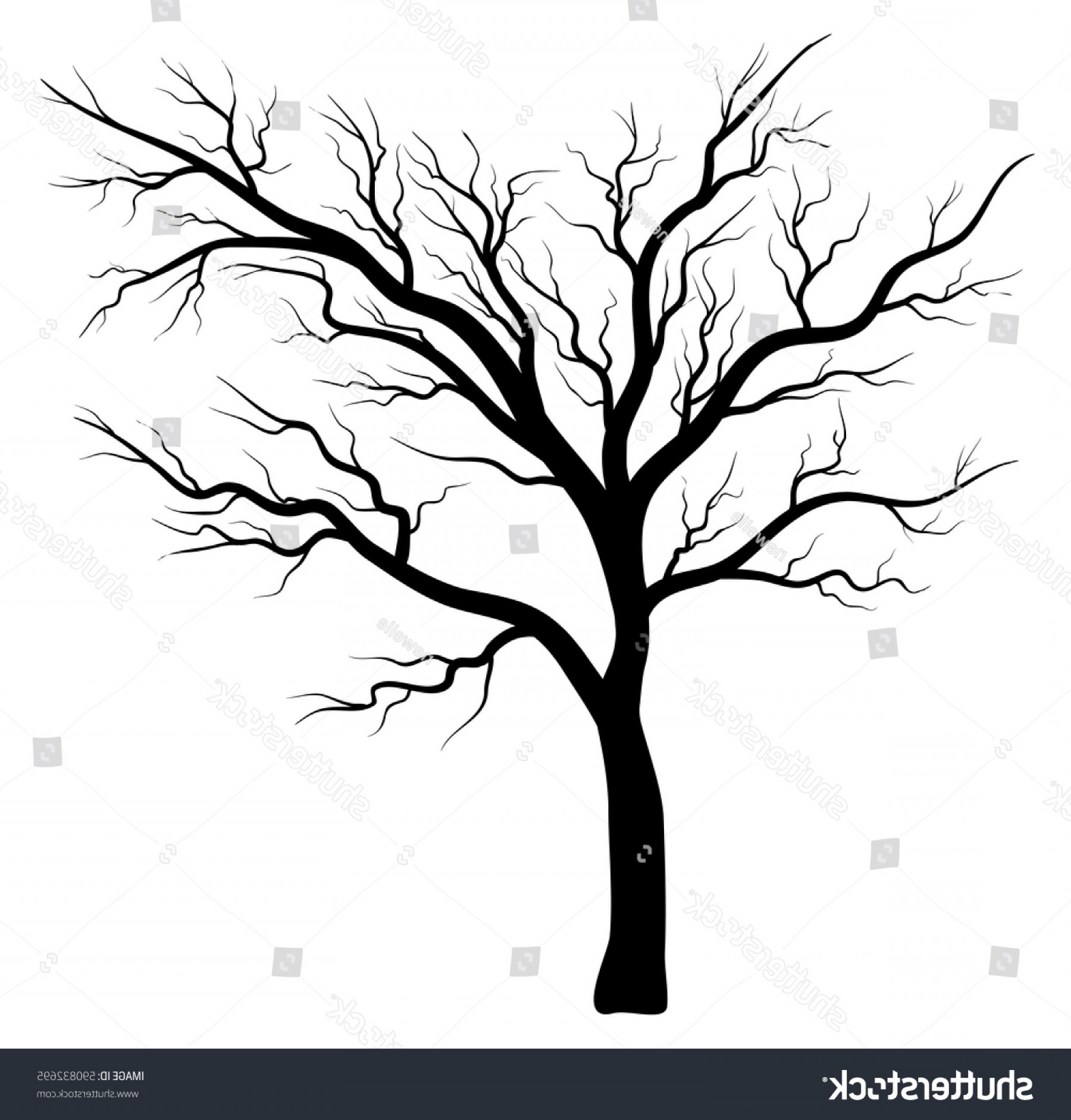 1800x1882 Bare Tree Silhouette Vector Symbol Icon Geekchicpro