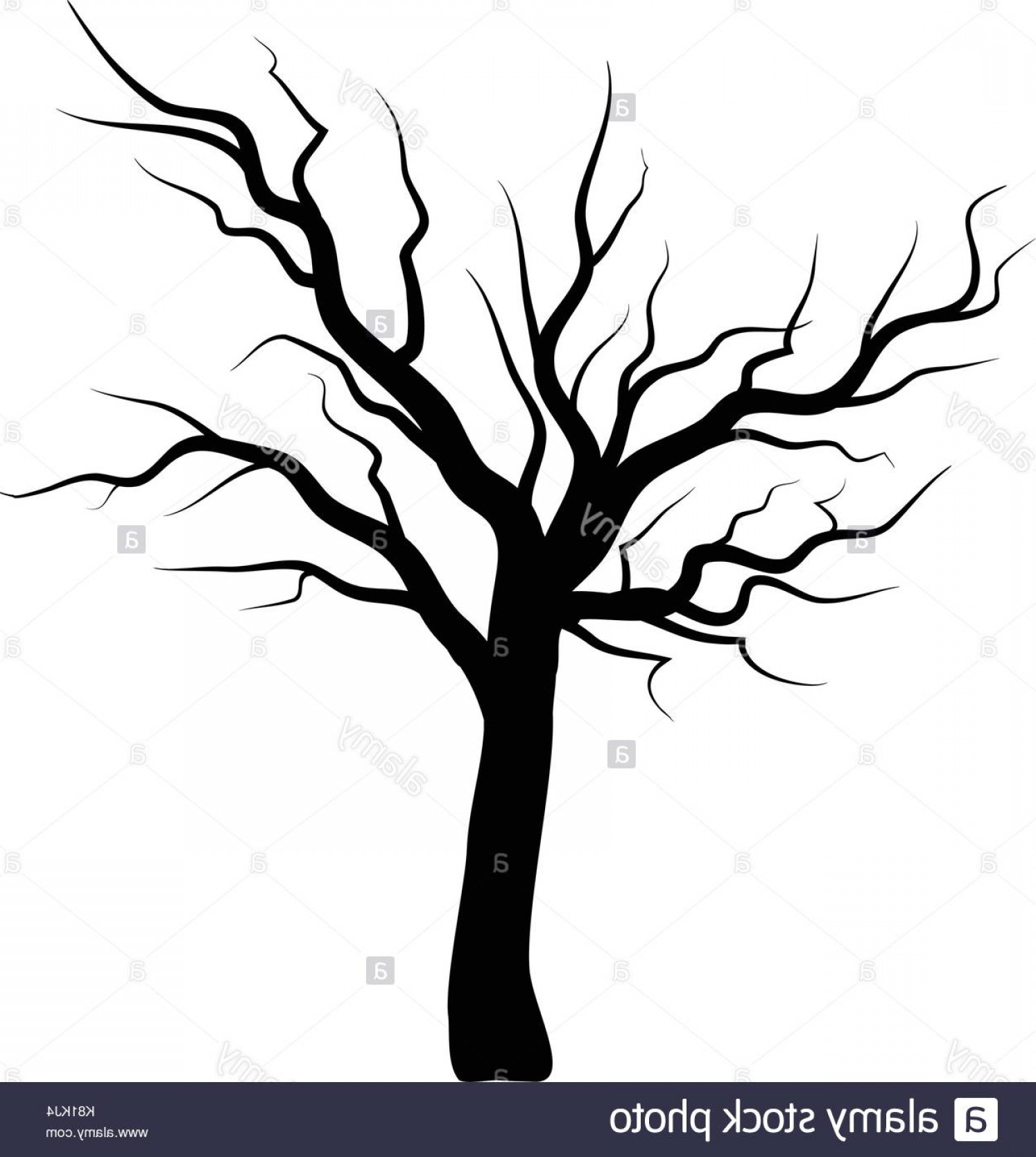 1494x1668 Bare Tree Silhouette Vector Symbol Icon Design Beautiful