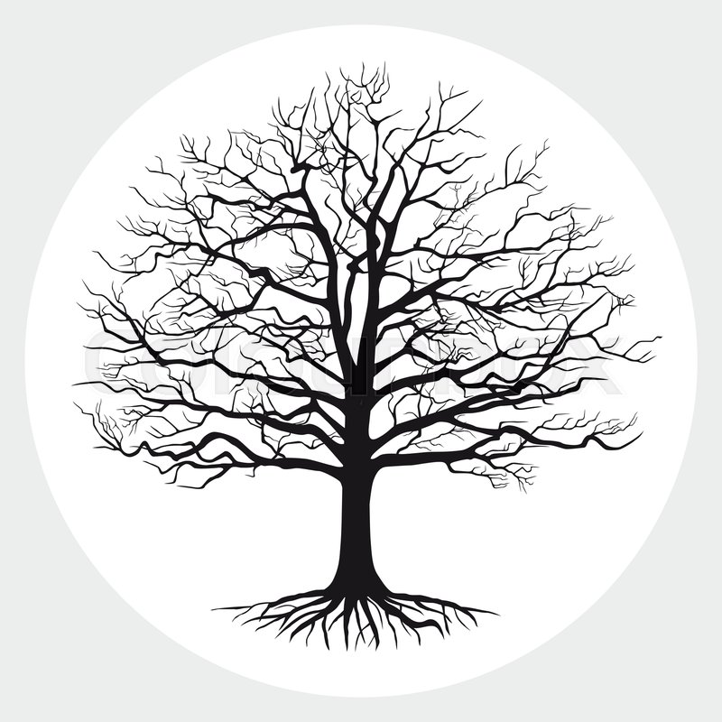 800x800 Black Silhouette Of A Bare Tree Stock Vector Colourbox