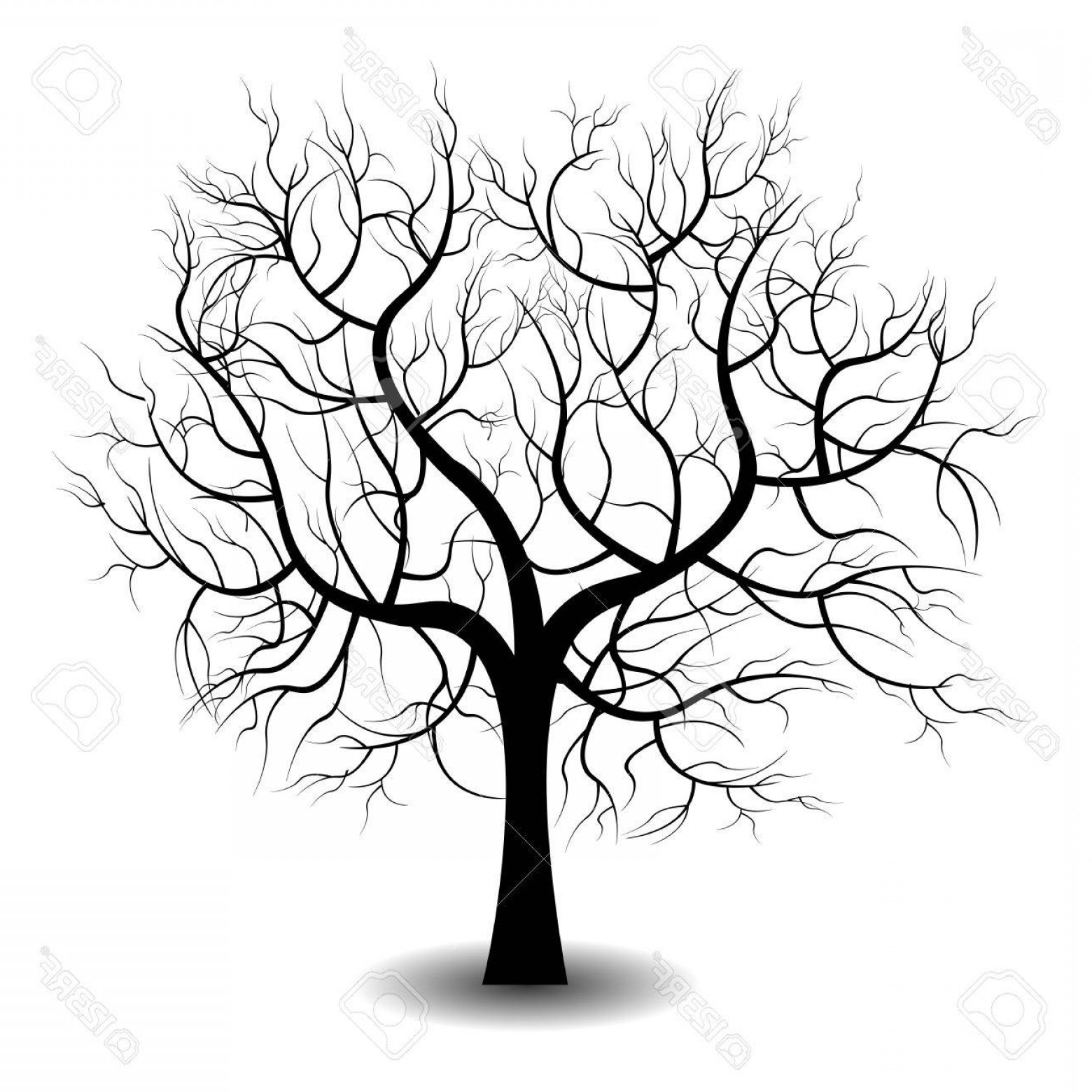 1560x1560 Photostock Vector Bright Pretty Color Vector Graphic Illustration