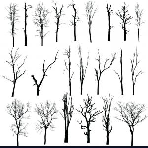 300x300 Bare Tree Drawing Free Tree Stencils Black Tree Clip Art Vector