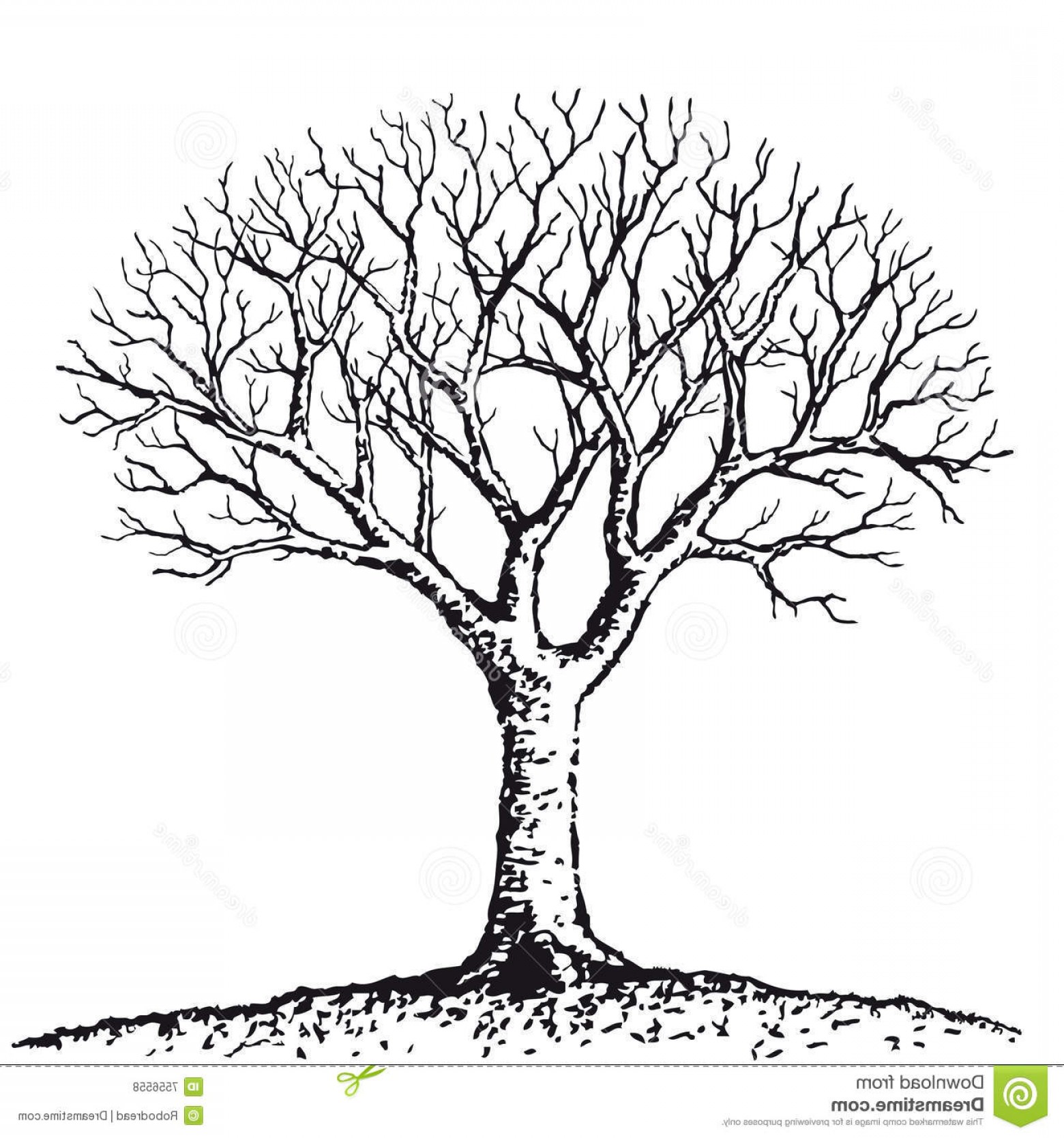 Bare Tree Vector at Vectorified.com | Collection of Bare Tree Vector ...