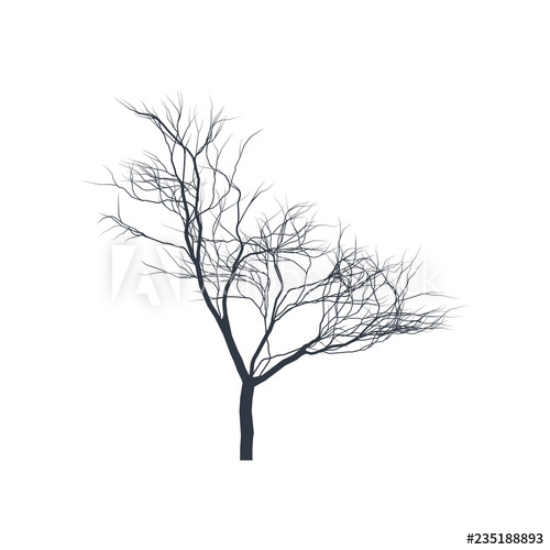 500x500 Tree Silhouette On White Background Bare Tree Vector