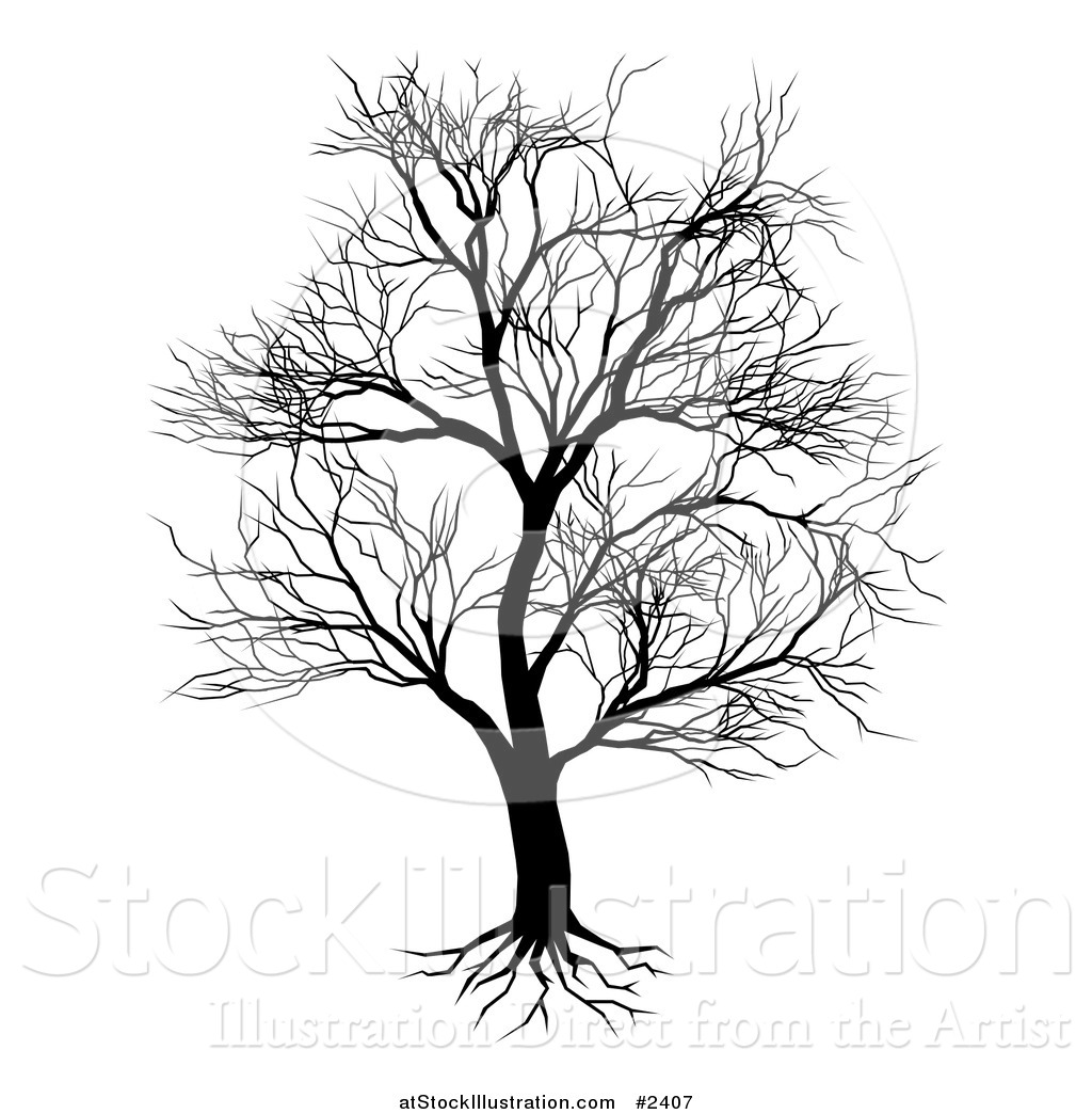 1024x1044 Vector Illustration Of A Silhouetted Mature Bare Tree And Roots