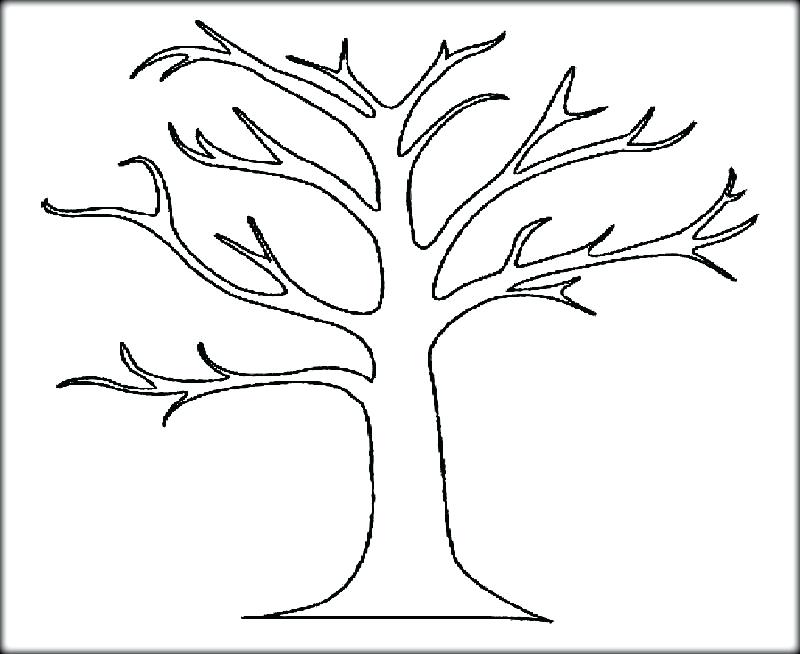 800x654 Bare Tree Outline Bare Tree Coloring