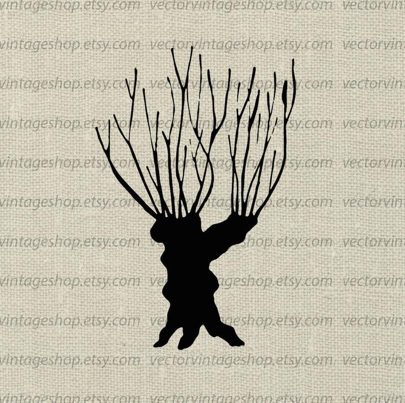 794x789 Willow Tree Vector Clipart Bare Tree Trunk Silhouette Clip Etsy