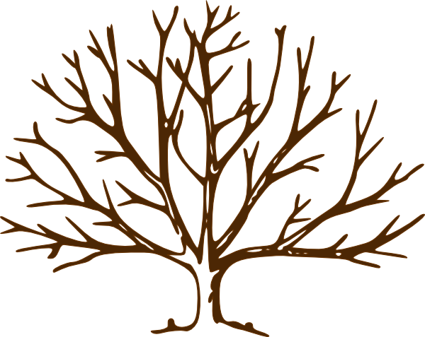 600x477 Bare Tree Bare Tree Clip Art