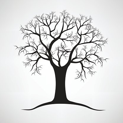 416x416 Black Silhouette Of A Bare Tree Vector Illustration Stock Vectors