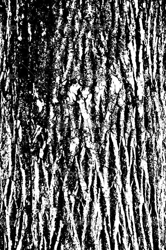 Tree Bark Drawing at GetDrawings Free download