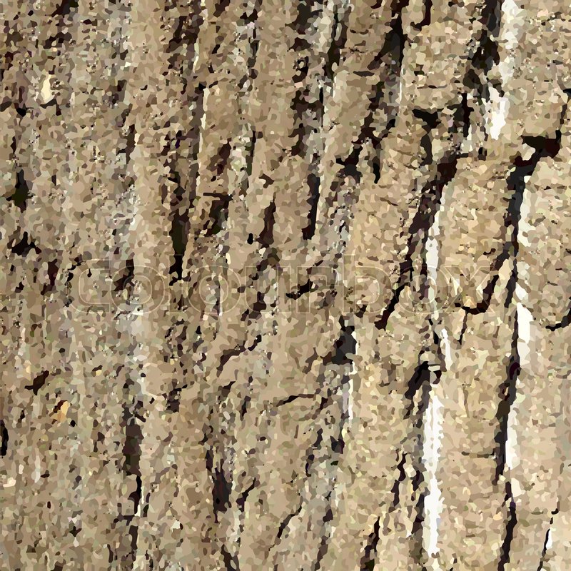 800x800 Bark Pattern Background Relief Stock Vector Colourbox