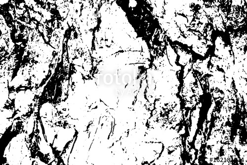500x334 Cracked Tree Bark Vector Texture Black And White Bark Ornament